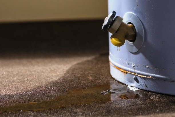 Best Flooded house restoration  in Storrs, CT