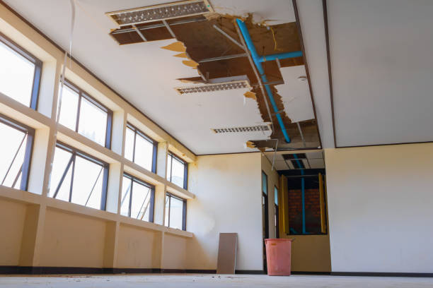 Best Water damage restoration near me  in Storrs, CT