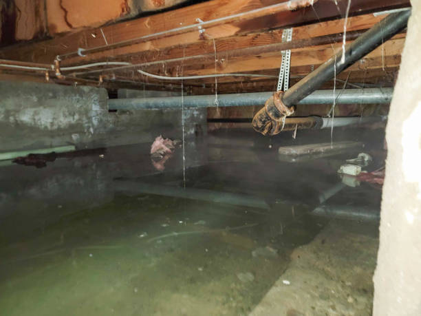 Best Residential water damage restoration  in Storrs, CT