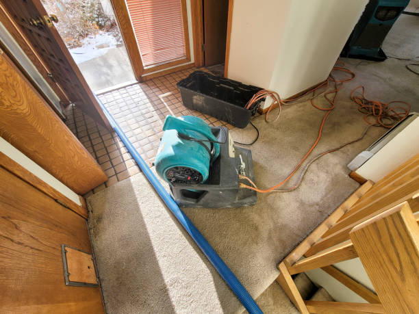  Storrs, CT Water damage restoration Pros