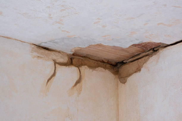 Best Water damage contractors near me  in Storrs, CT