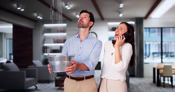 Best Water damage restoration process  in Storrs, CT