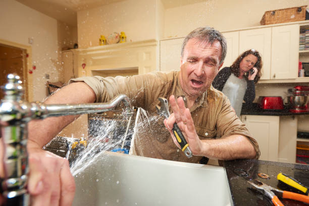 Best Carpet water damage restoration  in Storrs, CT